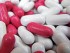Effet placebo : vrai-Faux sur le placebo